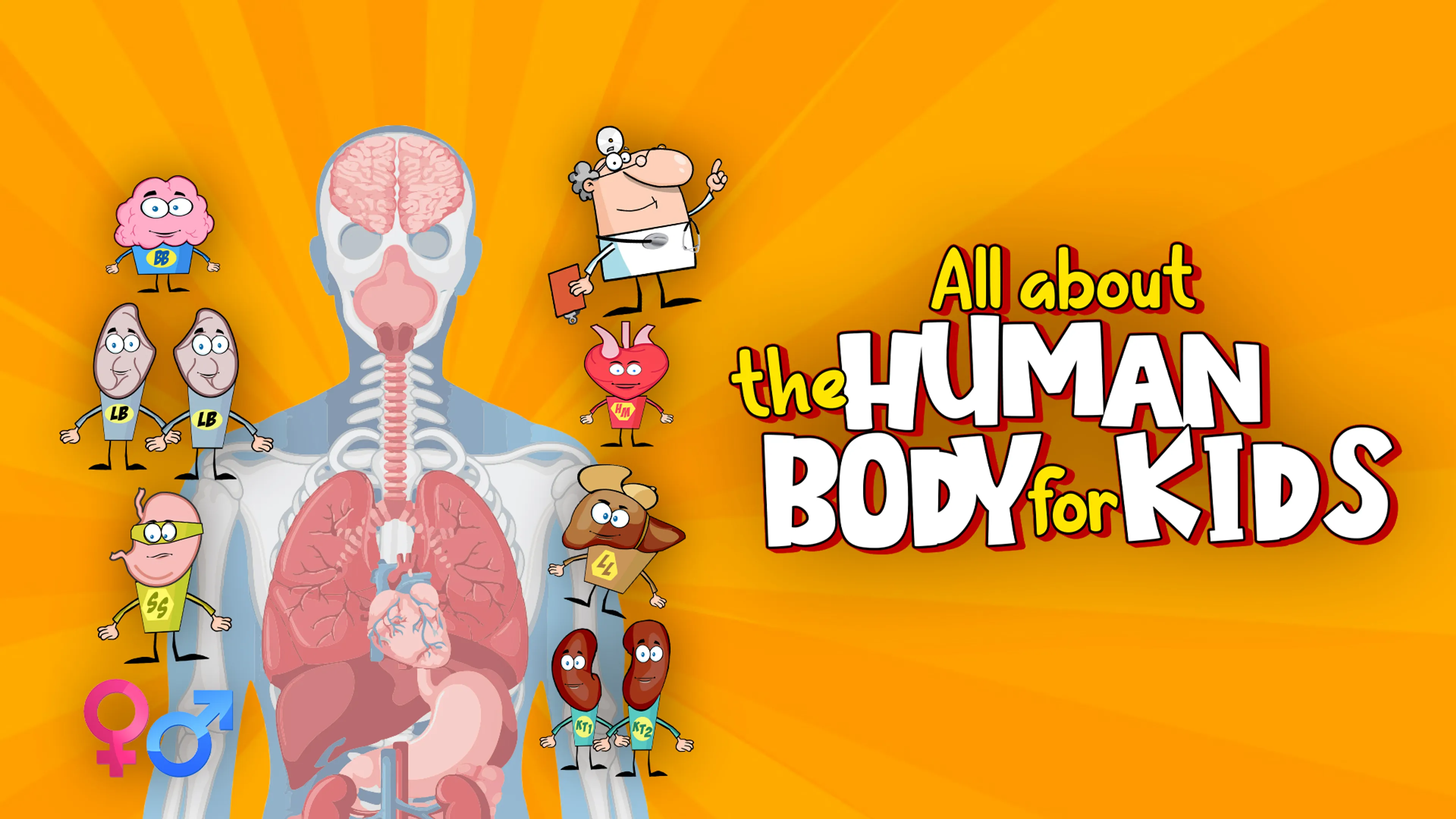 All About the Human Body for Kids poster